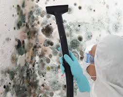 Best Comprehensive Air Testing for Mold Contaminants  in Rock Island, IL